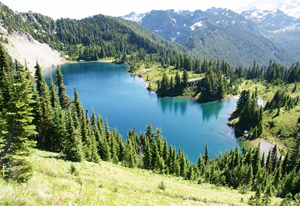  ũ (Tolmie Peak Lookout)